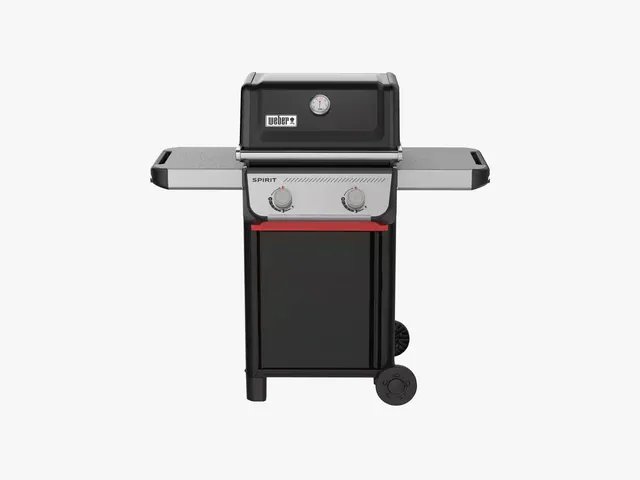 Image may contain: Appliance, Burner, Device, Electrical Device, Oven, Bbq, Cooking, Food, Grilling, and Mailbox