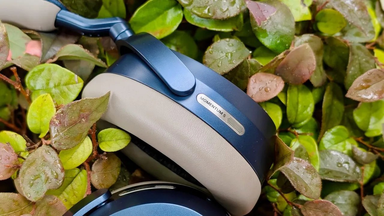 Sennheiser Momentum 5 in Denim